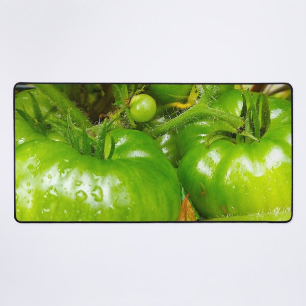 Item preview, Green Tomatoes designed and sold by hajarsdeco.