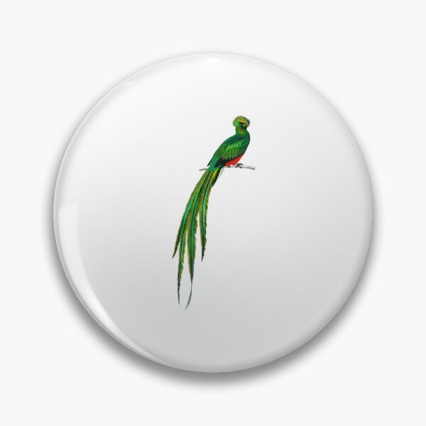 Item preview, Quetzal on branch, quetzal bird, quetzal designed and sold by GreyStanzione1.