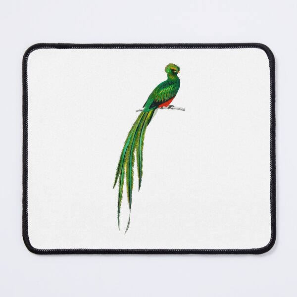 Item preview, Quetzal on branch, quetzal bird, quetzal designed and sold by GreyStanzione1.
