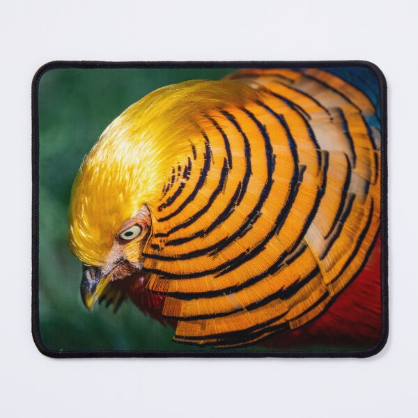 Item preview, Golden pheasant designed and sold by Ingo Gerlach.