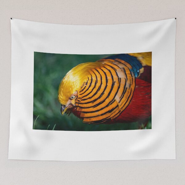 Item preview, Golden pheasant designed and sold by Ingo Gerlach.