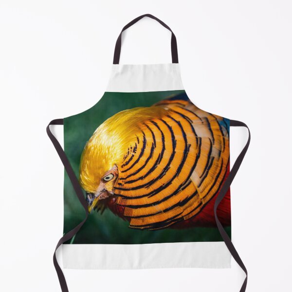 Item preview, Golden pheasant designed and sold by Ingo Gerlach.