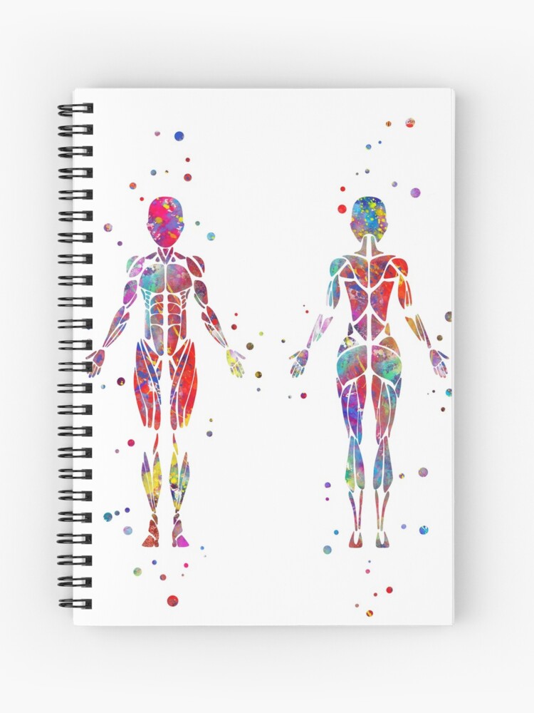 Female body, Human Anatomy, Health Package