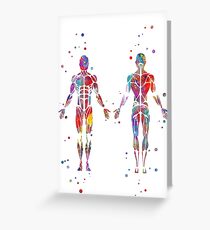 Muscular System, watercolor anatomy art, human muscles, medical art, skeletal muscles, man body Greeting Card