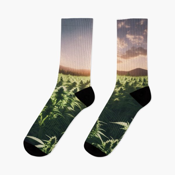 Item preview, Marijuana farm with sun rays in the background designed and sold by Robinson-Icious.