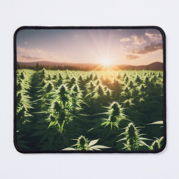 Item preview, Marijuana farm with sun rays in the background designed and sold by Robinson-Icious.