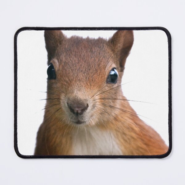 Item preview, Eye Contact designed and sold by Krys Bailey.