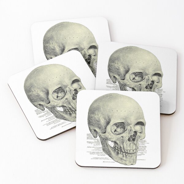 Item preview, Victorian Anatomy Skull designed and sold by Hoorahville.
