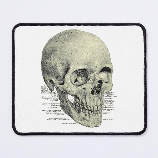 Item preview, Victorian Anatomy Skull designed and sold by Hoorahville.