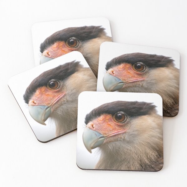 Item preview, Caracara designed and sold by Krys Bailey.