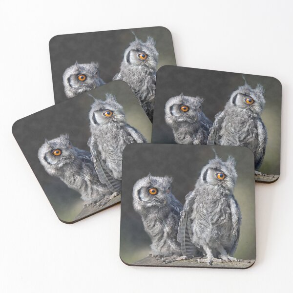 Item preview, Baby Owls designed and sold by Krys Bailey.