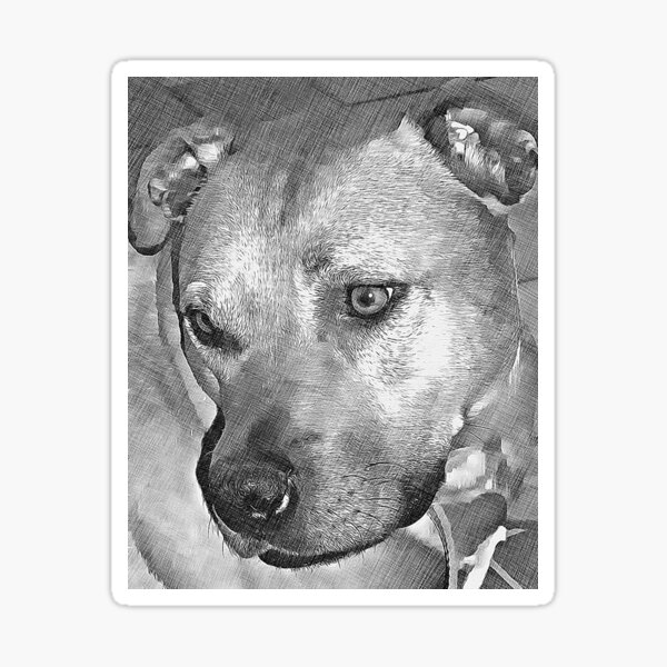 Lovely dog Sticker