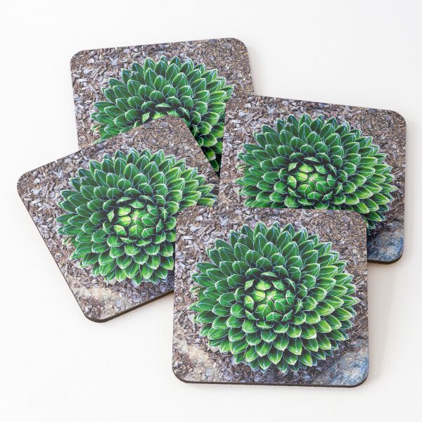 Item preview, Queen Victoria Agave Succulent designed and sold by Scott Bray.