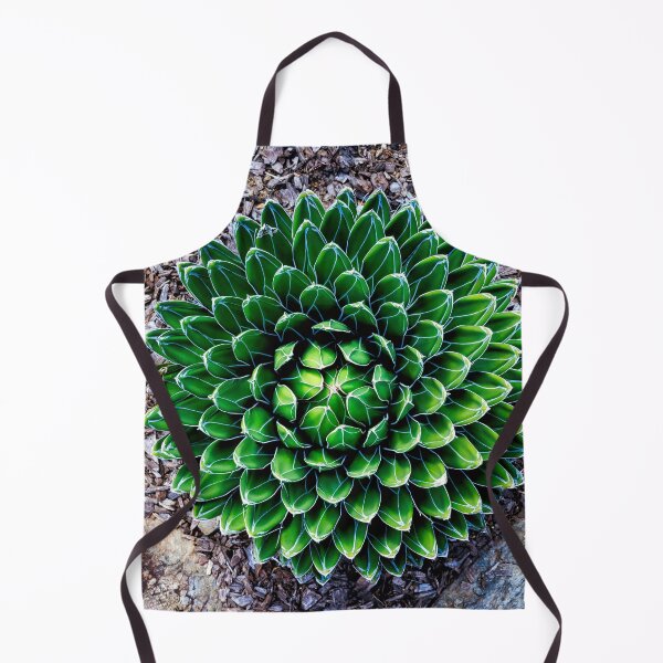 Item preview, Queen Victoria Agave Succulent designed and sold by Scott Bray.