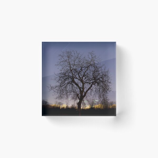 Item preview, Bare Tree designed and sold by Mats Silvan.