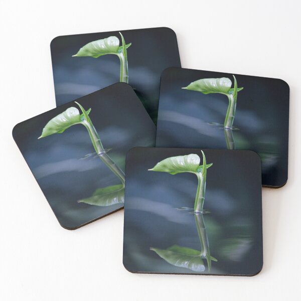 Item preview, Emergence designed and sold by Krys Bailey.