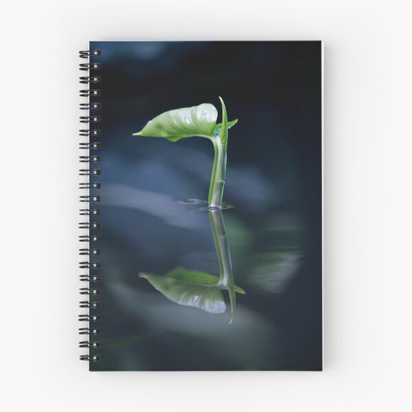 Item preview, Emergence designed and sold by Krys Bailey.