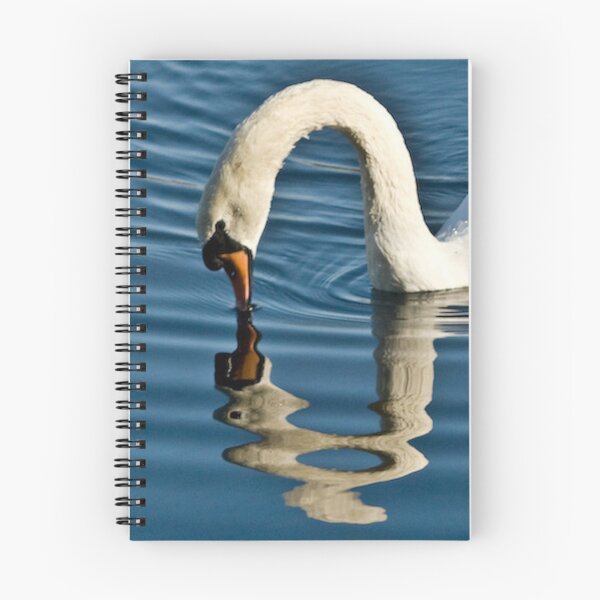 Item preview, Freaky swan reflection with hole in his neck designed and sold by keithmilligan.