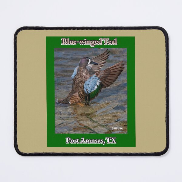 Item preview, Give Someone You Love The Bird: Blue-winged Teal ~ Leonabelle Turnbull Birding Center, Port Aransas, Texas designed and sold by MoreEZUSA-Here.