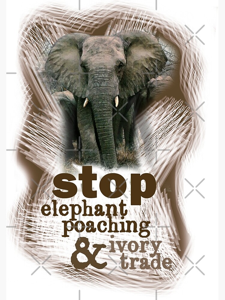 "Stop Elephant Poaching & Ivory Trading by Natasha Constantinou