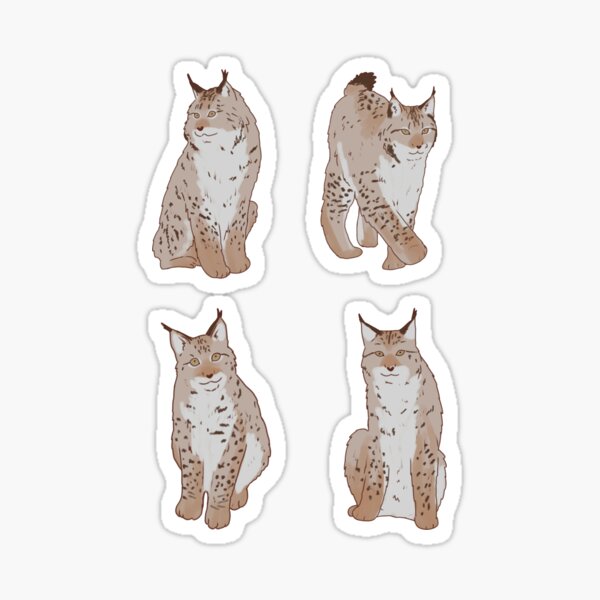 Bobcat Lynx Cat Planner Calendar Scrapbooking Crafting Stickers, Size: 18 2 Stickers, White