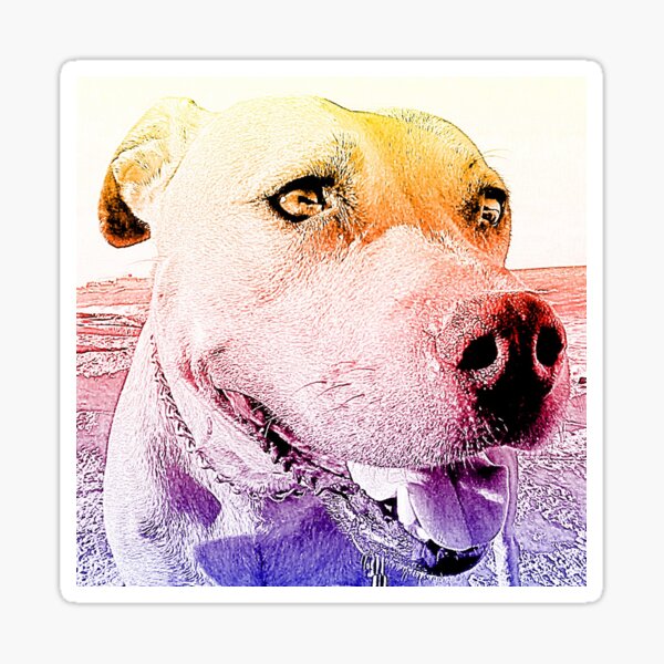 Rudy Sticker