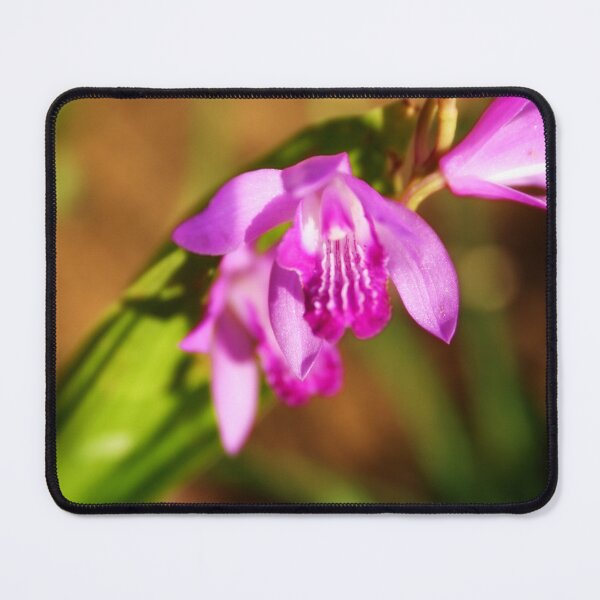 Item preview, Purple flower designed and sold by Lee's Place.