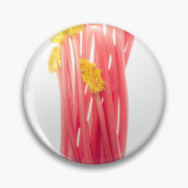 Item preview, Bunch of pink rhubarb stems on white background designed and sold by bailey-cooper.