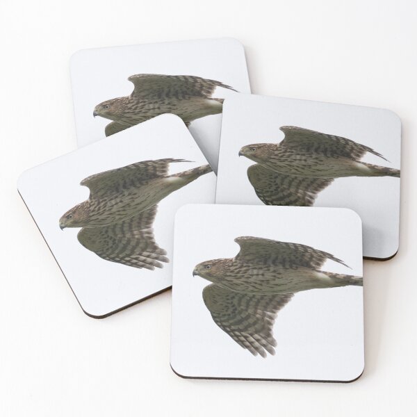 Item preview, Cooper's Hawk designed and sold by LaurenTucker.