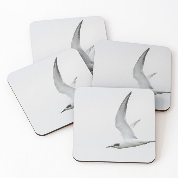 Item preview, Forster's Tern designed and sold by LaurenTucker.