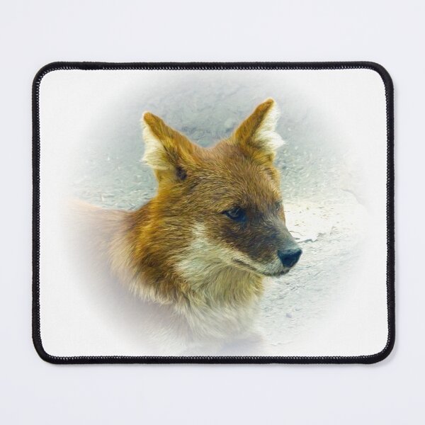 Item preview, Dhole-Asian wild dog designed and sold by Guardi71.