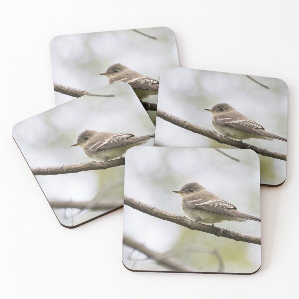 Item preview, Eastern Wood Pewee designed and sold by LaurenTucker.