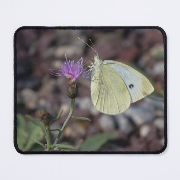 Item preview, Cabbage White designed and sold by LaurenTucker.