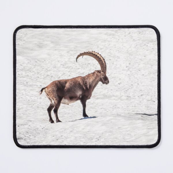 Item preview, Alpine Ibex designed and sold by Tim Paulawitz.