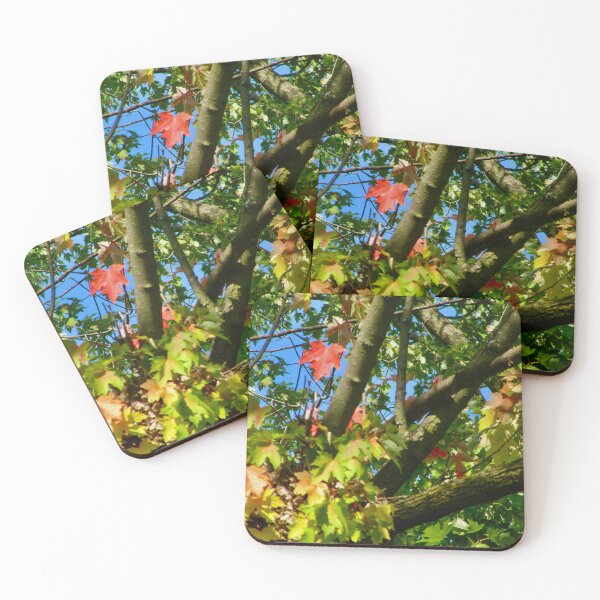 Item preview, Fall is coming designed and sold by Shulie1.