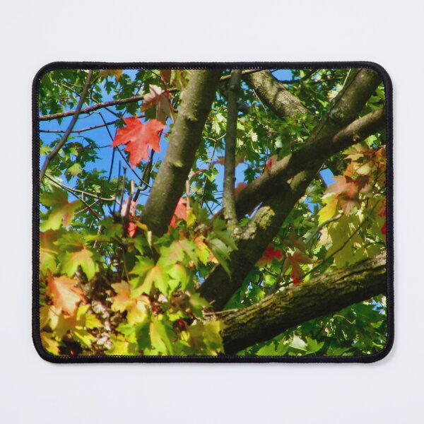 Item preview, Fall is coming designed and sold by Shulie1.