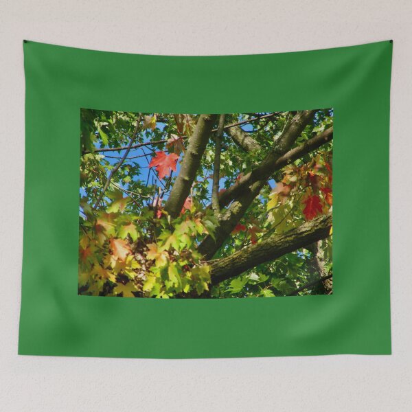 Item preview, Fall is coming designed and sold by Shulie1.