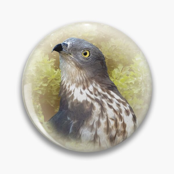 Item preview, Honey buzzard designed and sold by Guardi71.