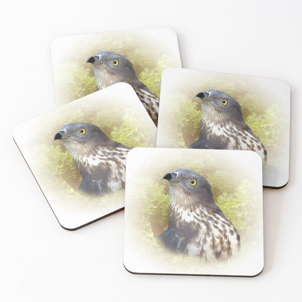 Item preview, Honey buzzard designed and sold by Guardi71.