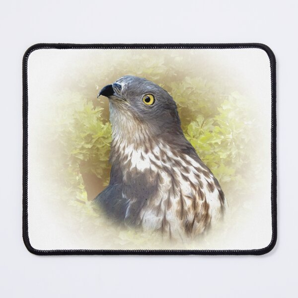 Item preview, Honey buzzard designed and sold by Guardi71.
