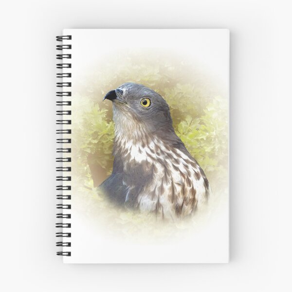 Item preview, Honey buzzard designed and sold by Guardi71.