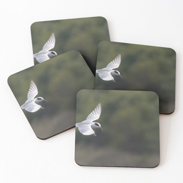 Item preview, Forster's Tern designed and sold by LaurenTucker.