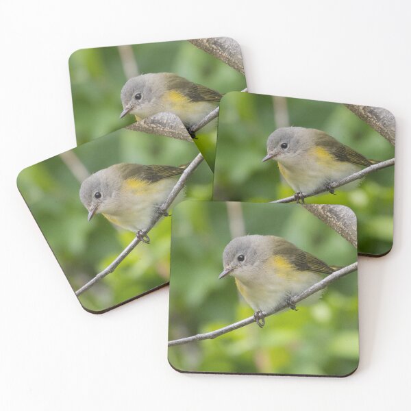 Item preview, American Redstart designed and sold by LaurenTucker.