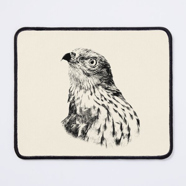 Item preview, Honey buzzard designed and sold by Guardi71.
