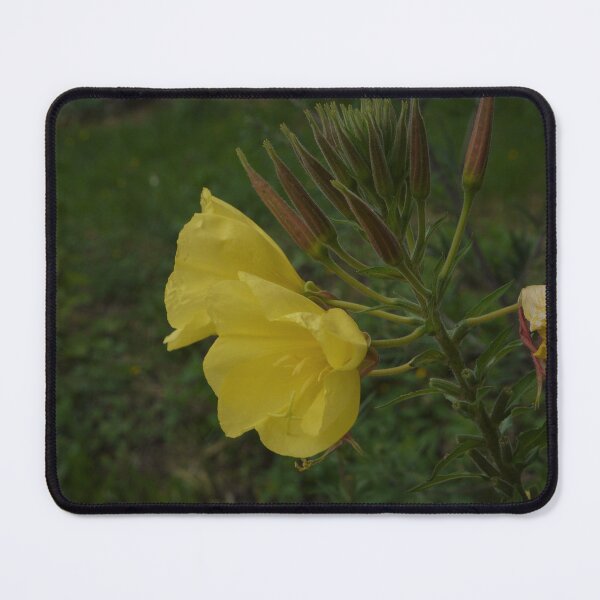 Item preview, Sad Flower designed and sold by ToastyLlama567.