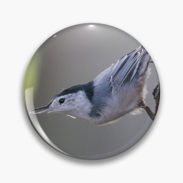Item preview, White Breasted Nuthatch designed and sold by LaurenTucker.