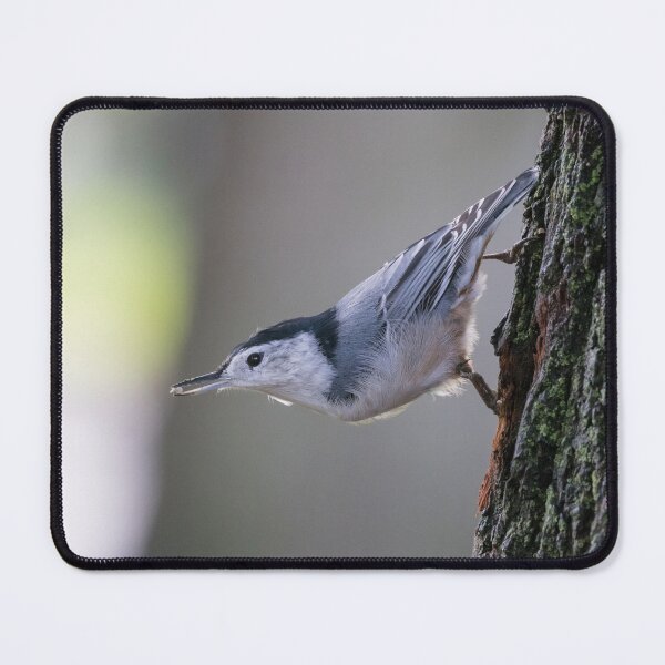 Item preview, White Breasted Nuthatch designed and sold by LaurenTucker.