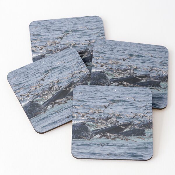 Item preview, Humpback Whale designed and sold by LaurenTucker.