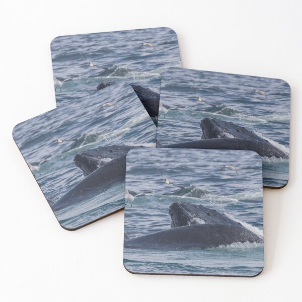Item preview, Humpback Whale designed and sold by LaurenTucker.
