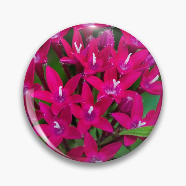 Item preview, Flower | Egyptian Starcluster designed and sold by TinyDinoDesigns.